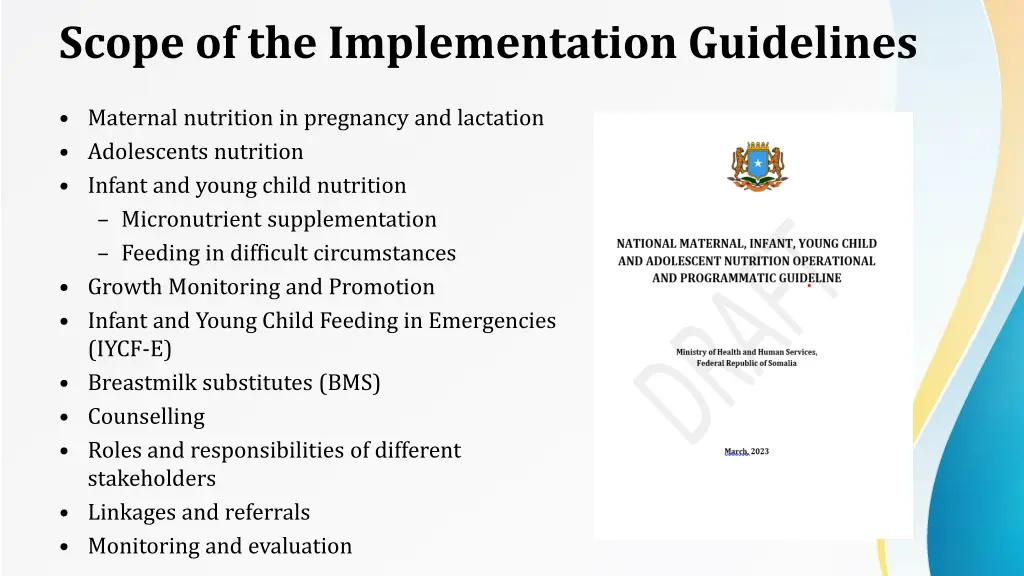 scope of the implementation guidelines