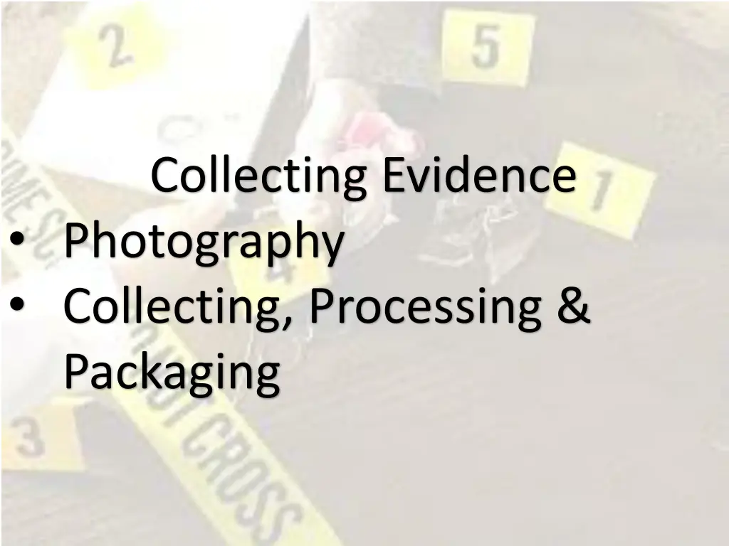 collecting evidence photography collecting