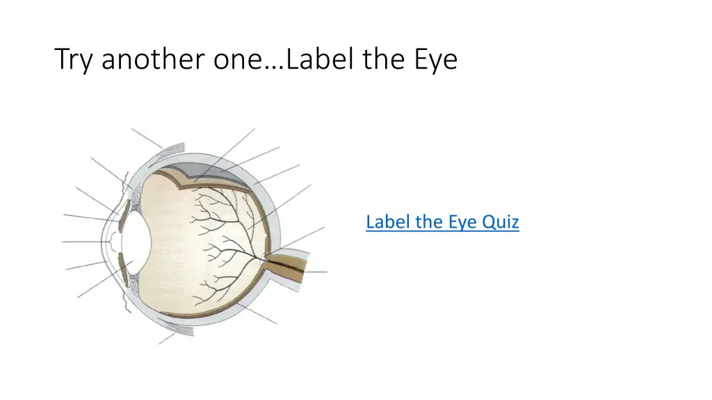 try another one label the eye