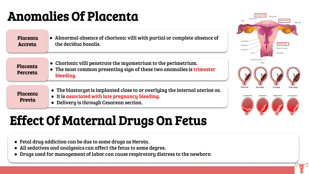 anomalies of placenta anomalies of placenta