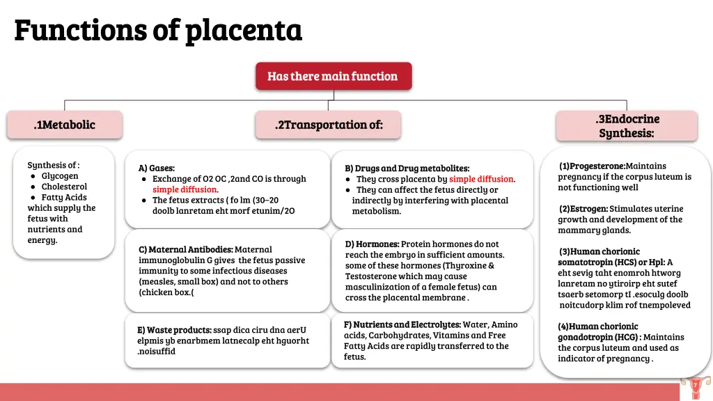 functions of placenta functions of placenta