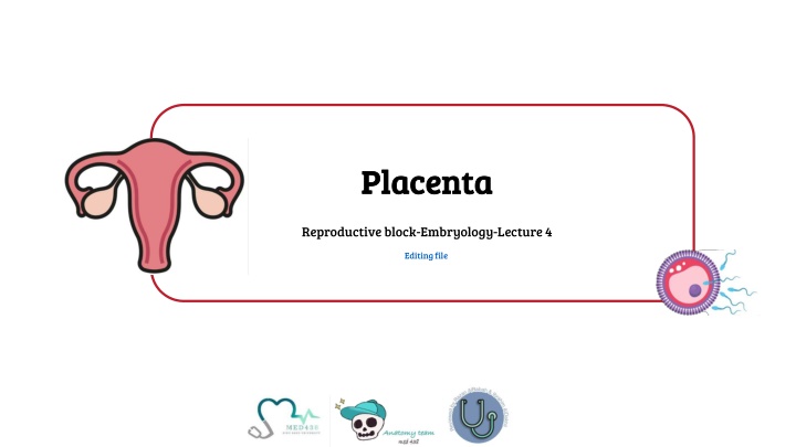 placenta placenta