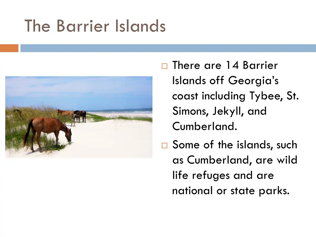 the barrier islands 1