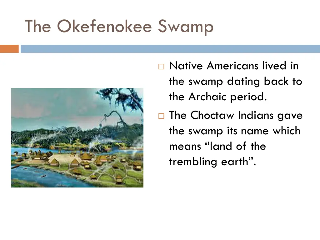 the okefenokee swamp 1