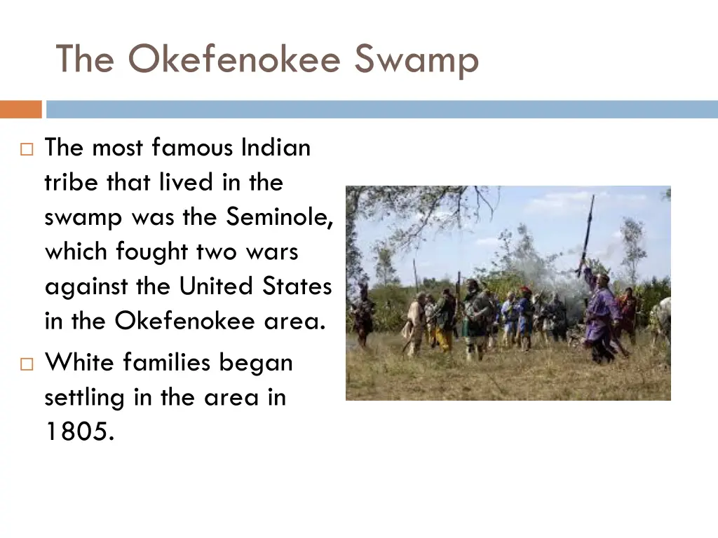 the okefenokee swamp 2