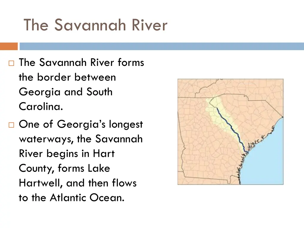 the savannah river