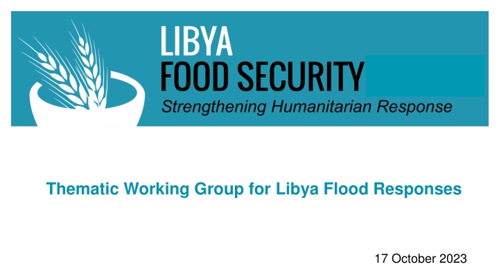 thematic working group for libya flood responses