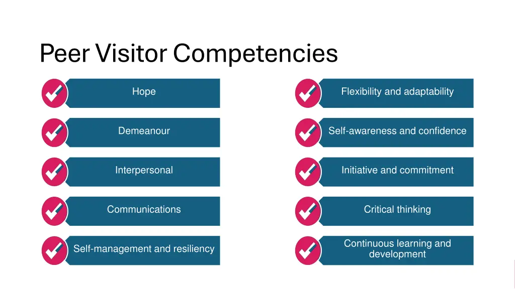 peer visitor competencies