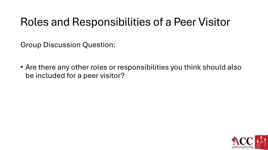 roles and responsibilities of a peer visitor