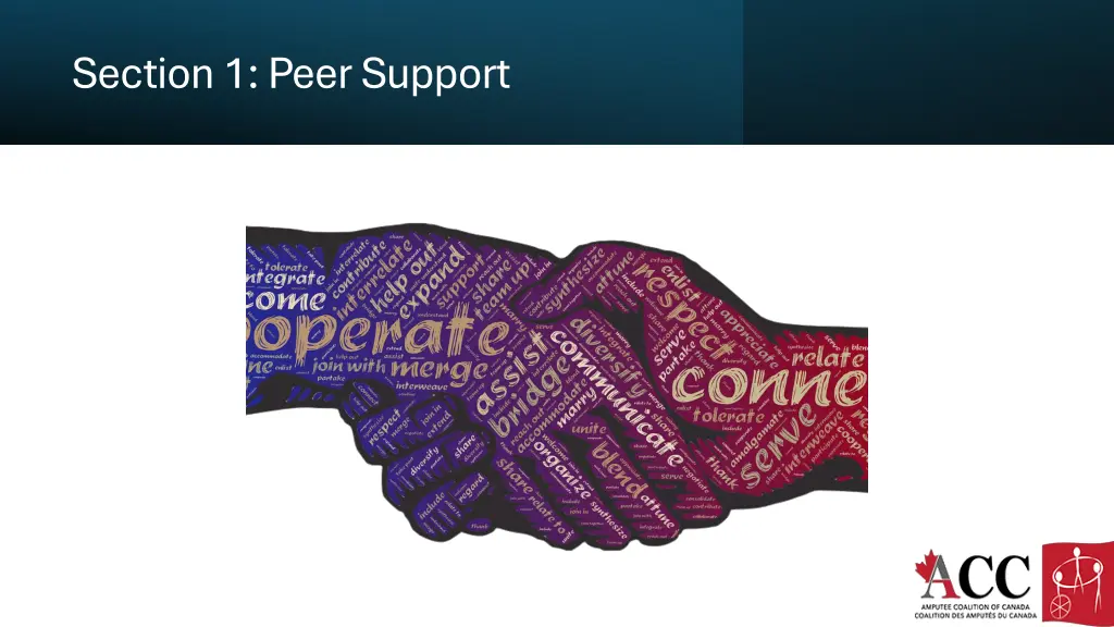 section 1 peer support