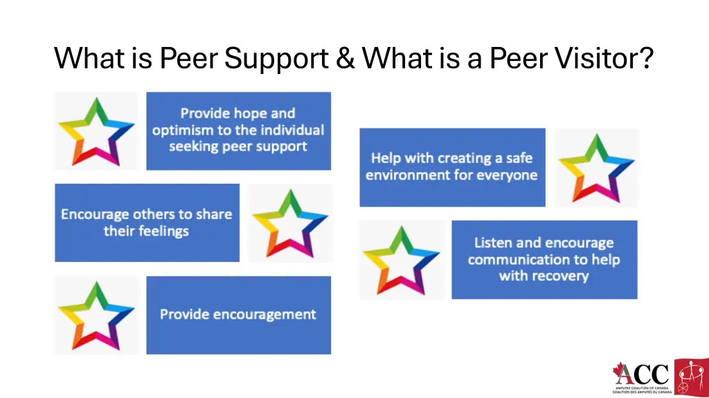 what is peer support what is a peer visitor 1