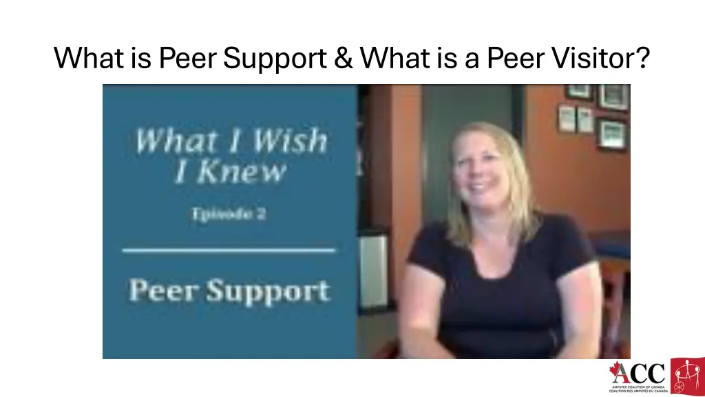 what is peer support what is a peer visitor