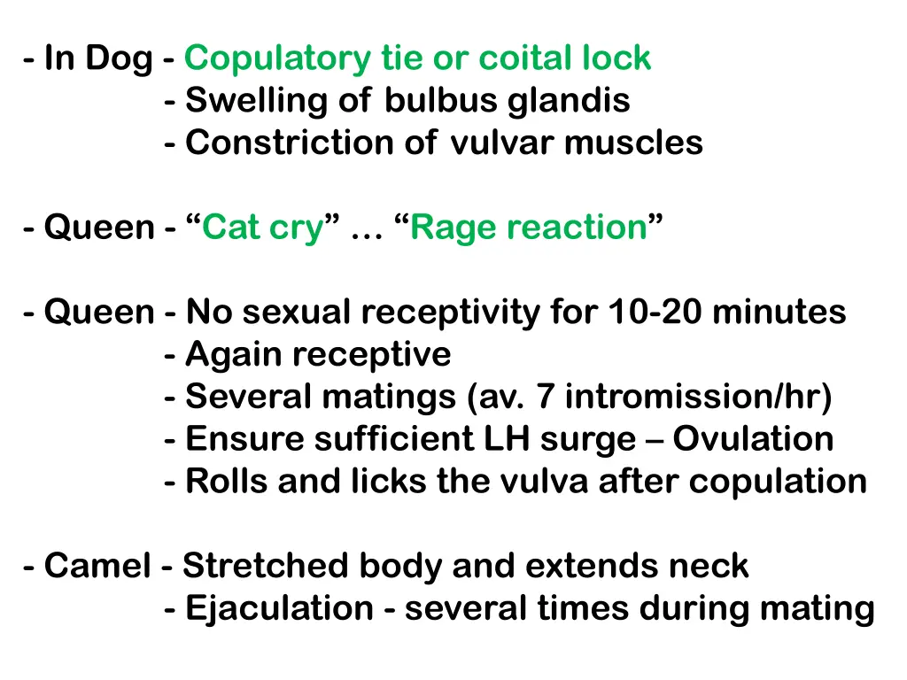 in dog copulatory tie or coital lock swelling