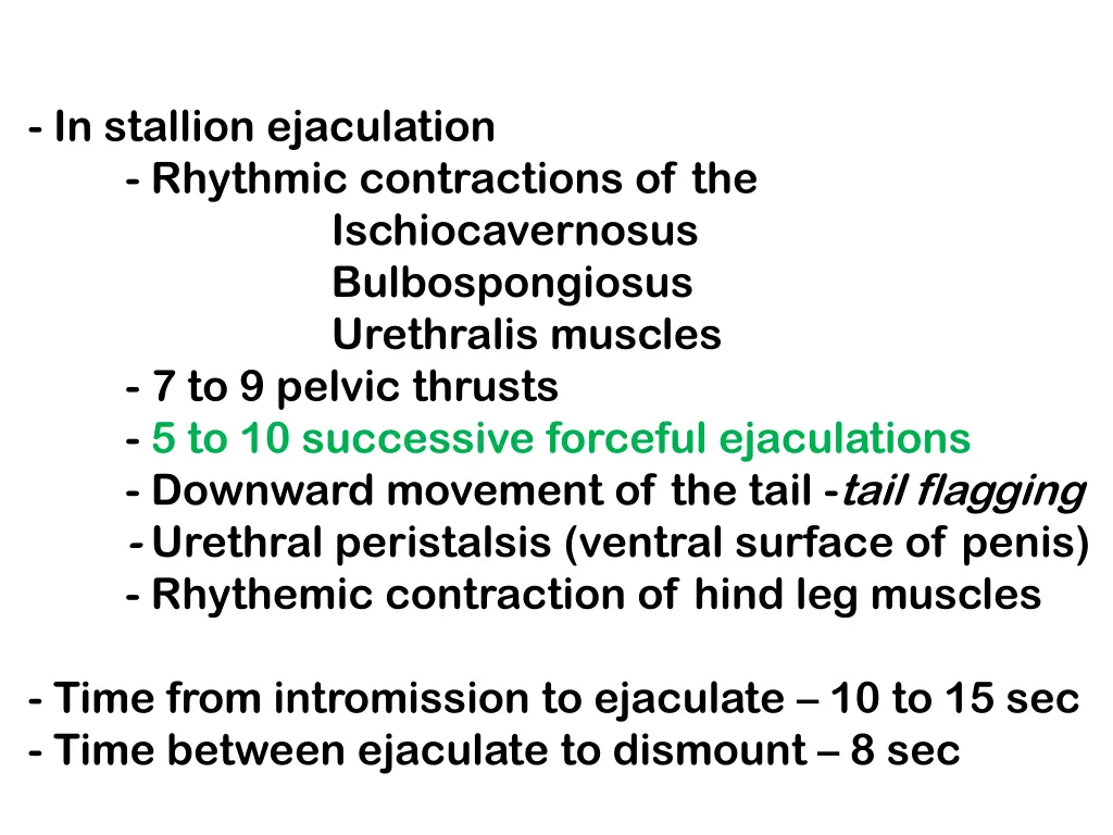 in stallion ejaculation rhythmic contractions