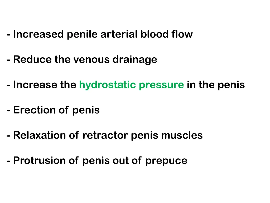 increased penile arterial blood flow