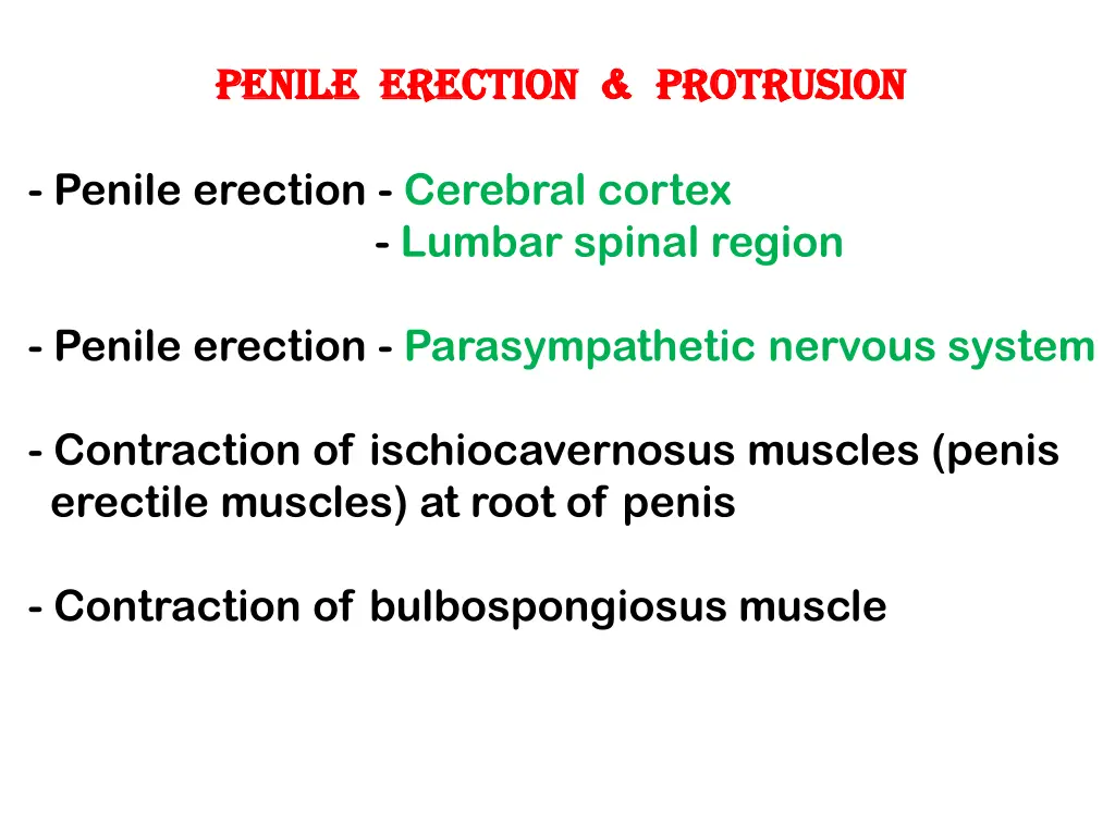 penile erection protrusion penile erection