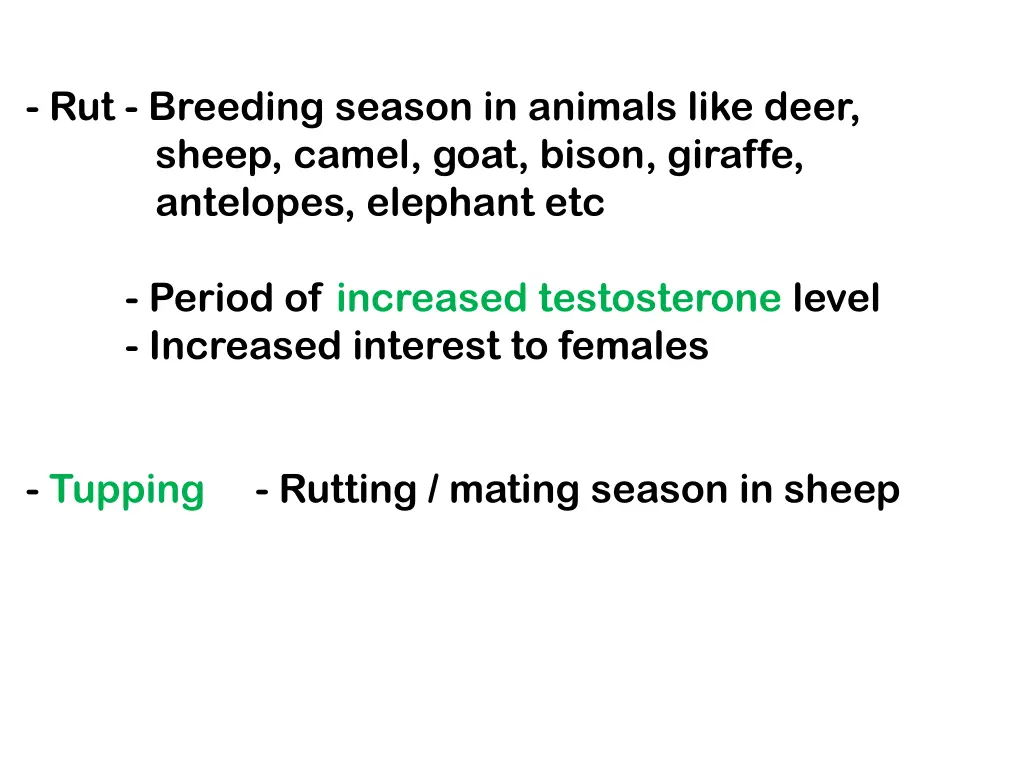 rut breeding season in animals like deer sheep