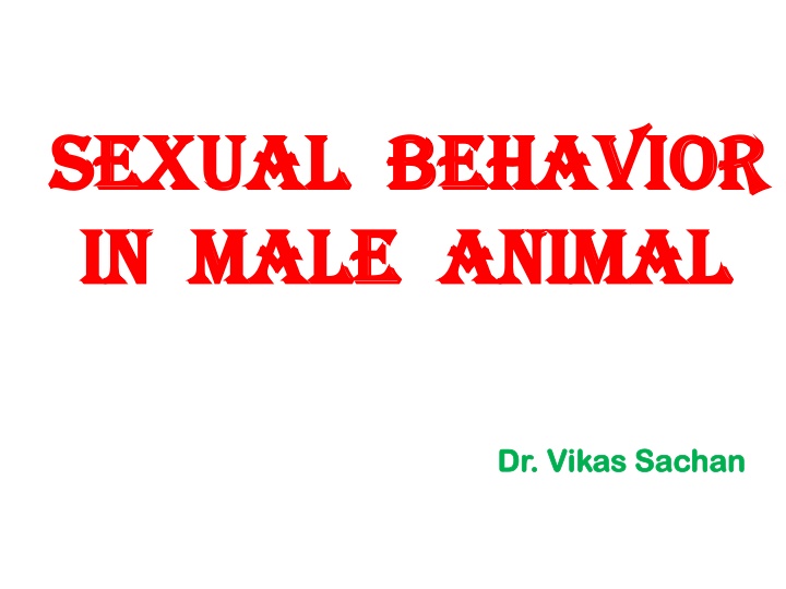 sexual behavior sexual behavior in male animal