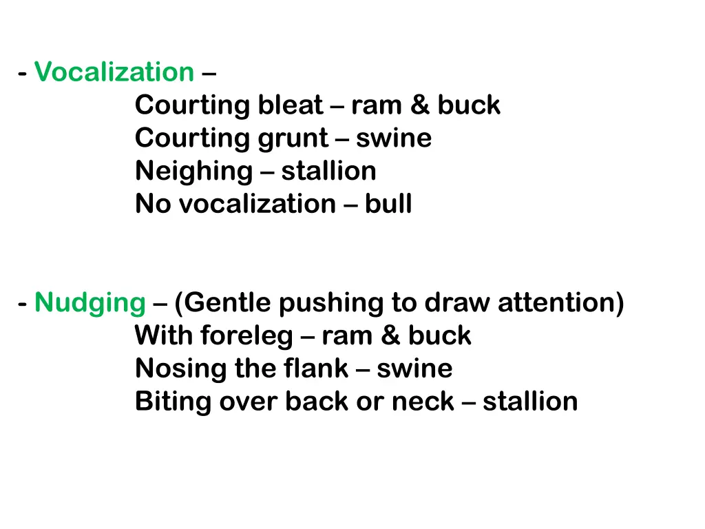 vocalization courting bleat ram buck courting