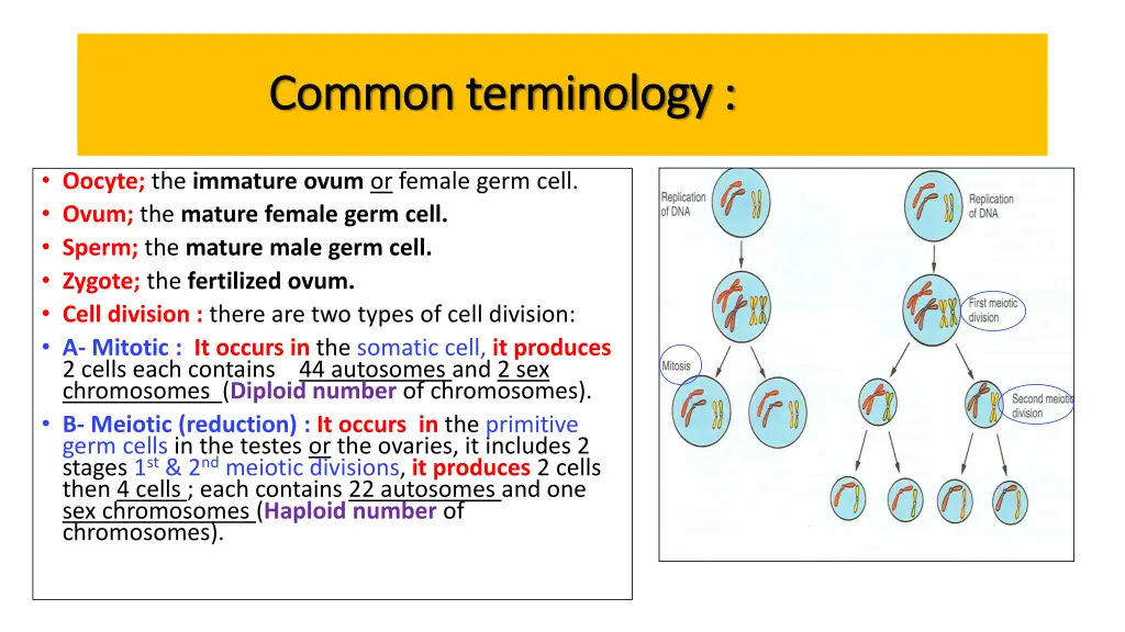 common terminology common terminology