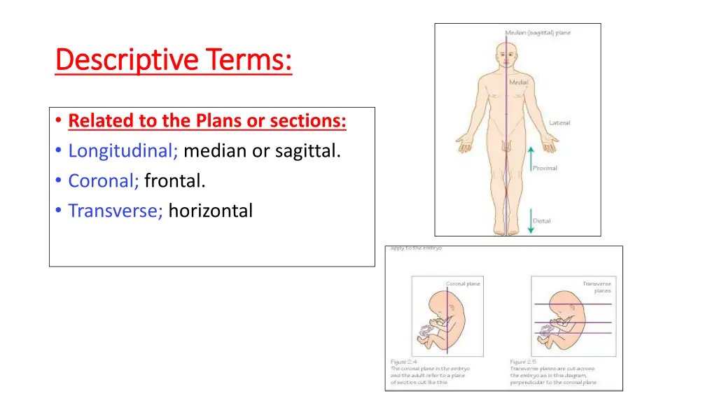 descriptive terms descriptive terms