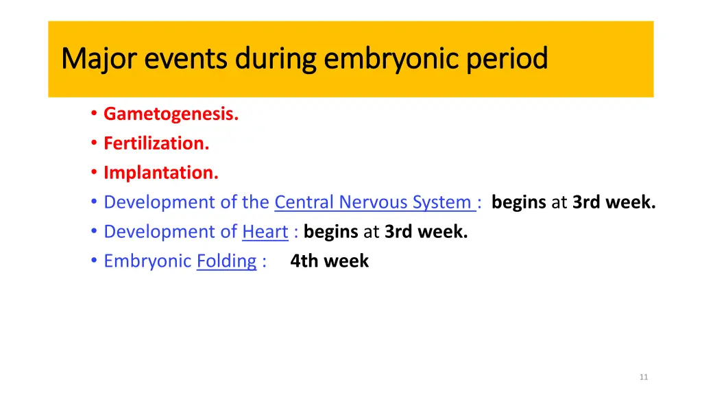 major events during embryonic period major events