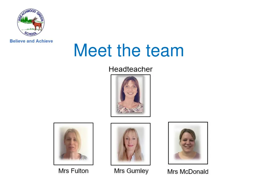 meet the team