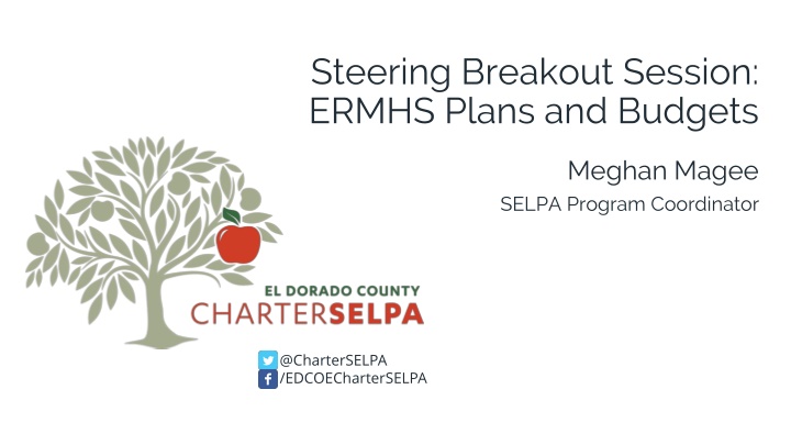 steering breakout session ermhs plans and budgets