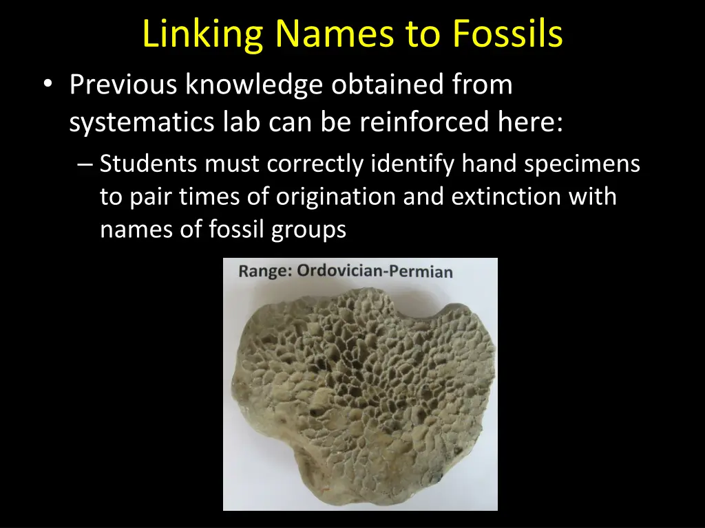 linking names to fossils previous knowledge