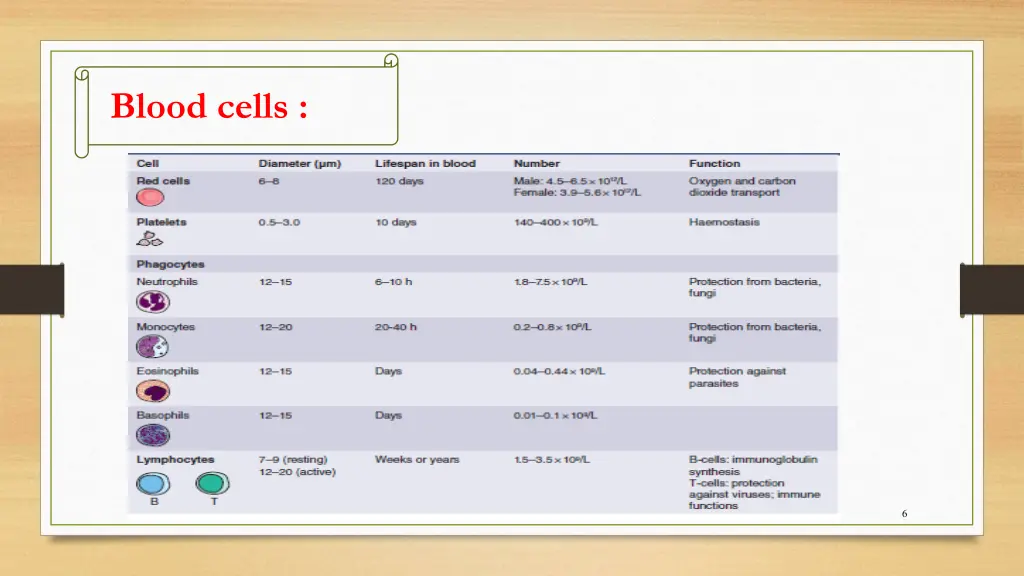 blood cells