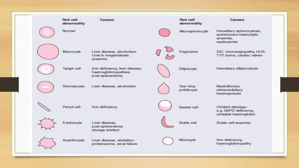 slide25