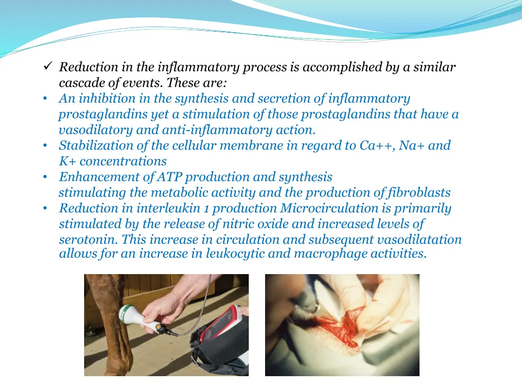 reduction in the inflammatory process