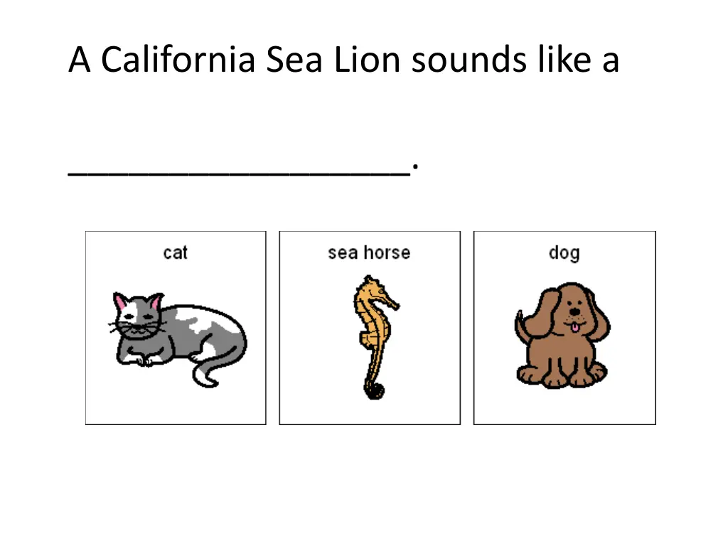 a california sea lion sounds like a