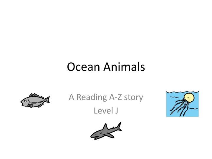 ocean animals