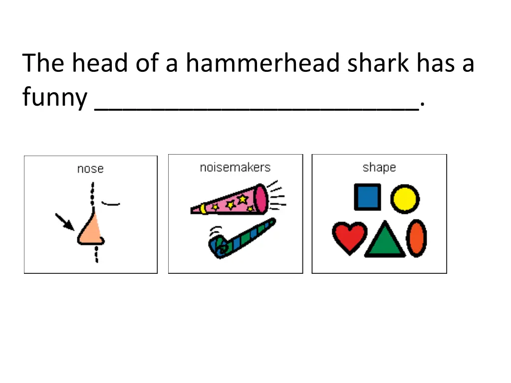 the head of a hammerhead shark has a funny