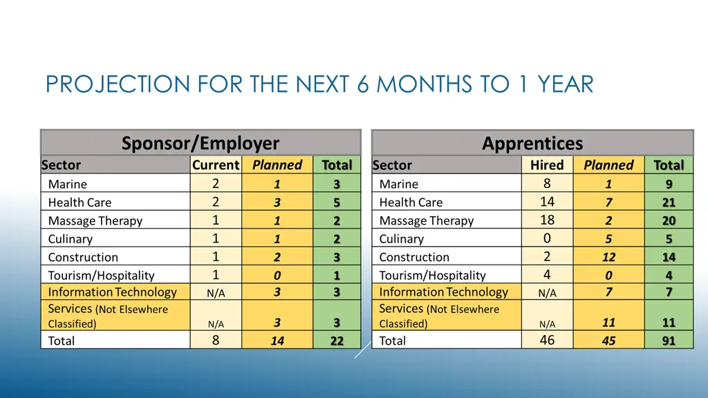 projection for the next 6 months to 1 year