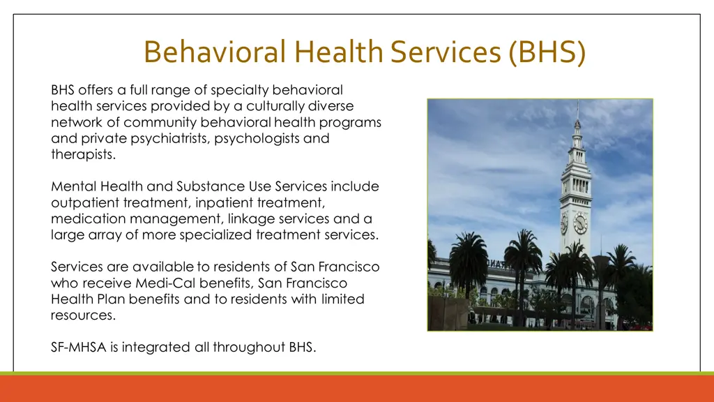 behavioral health services bhs