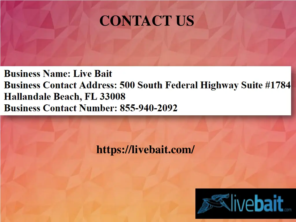 contact us