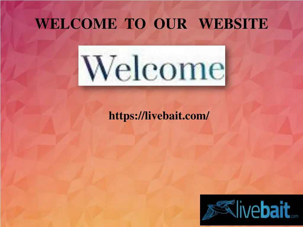 welcome to our website