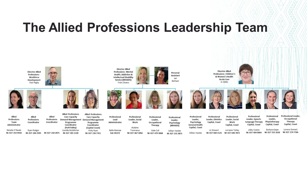 the allied professions leadership team