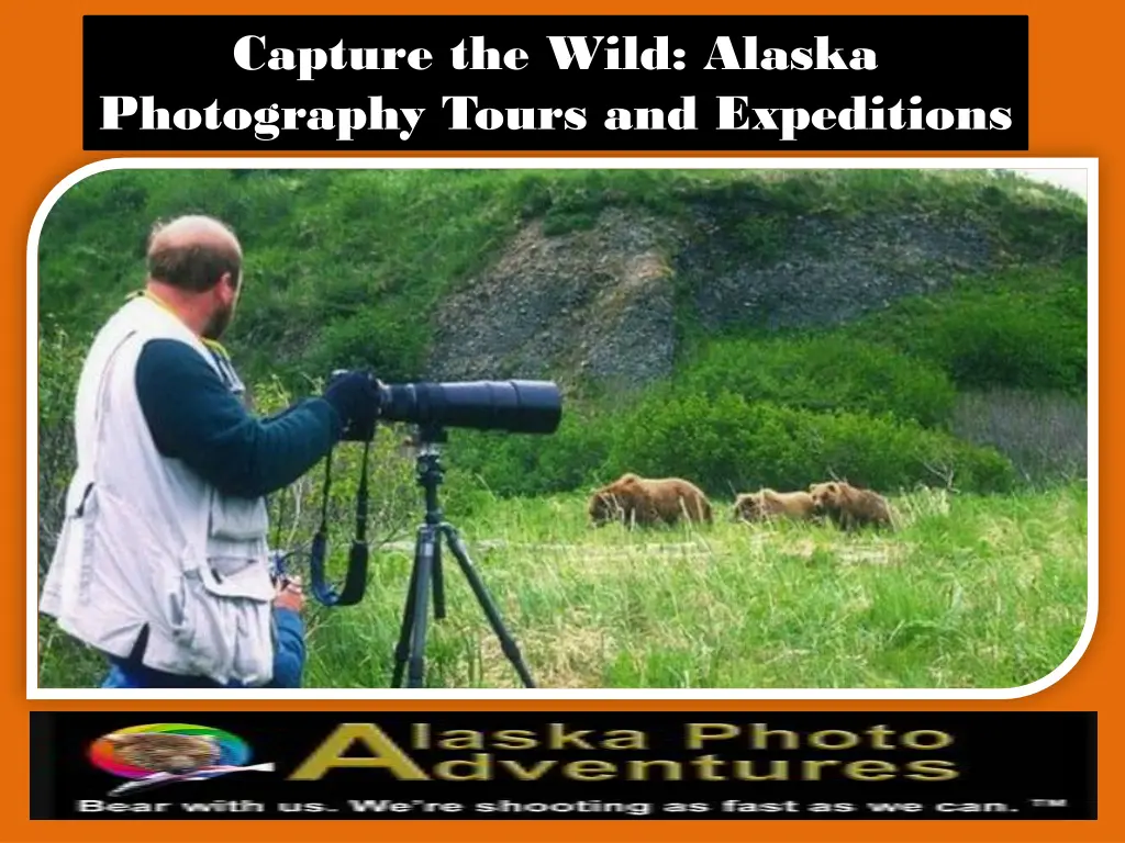 capture the wild alaska photography tours 1