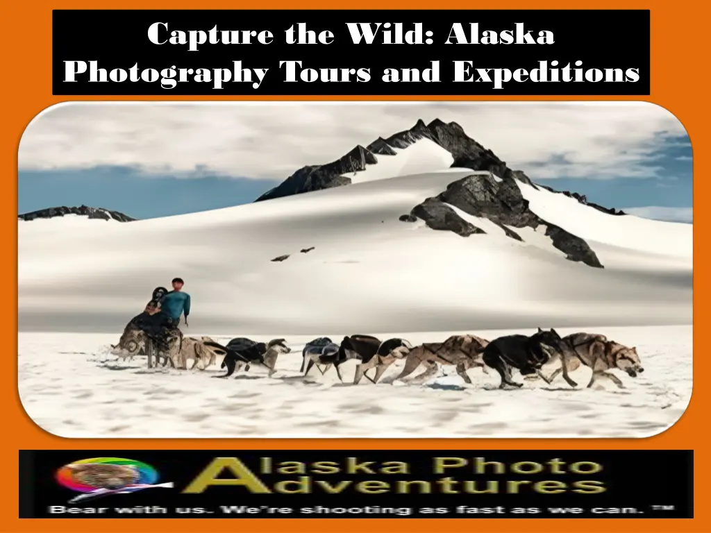 capture the wild alaska photography tours 2