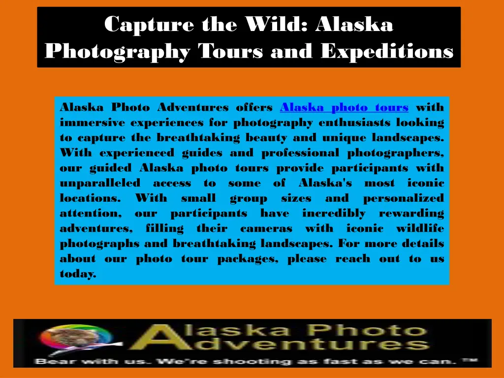 capture the wild alaska photography tours 3