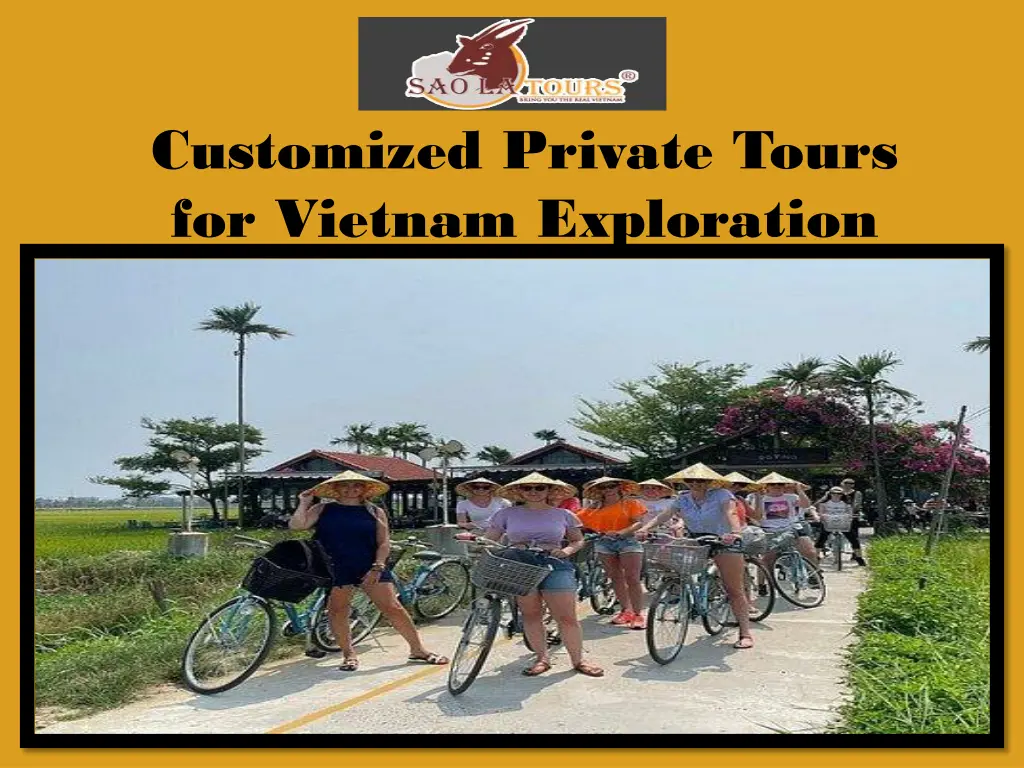 customized private tours for vietnam exploration 1