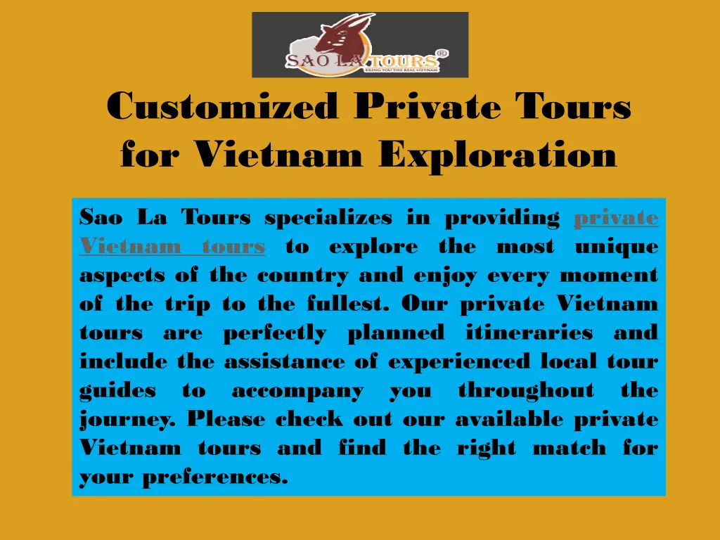 customized private tours for vietnam exploration 3