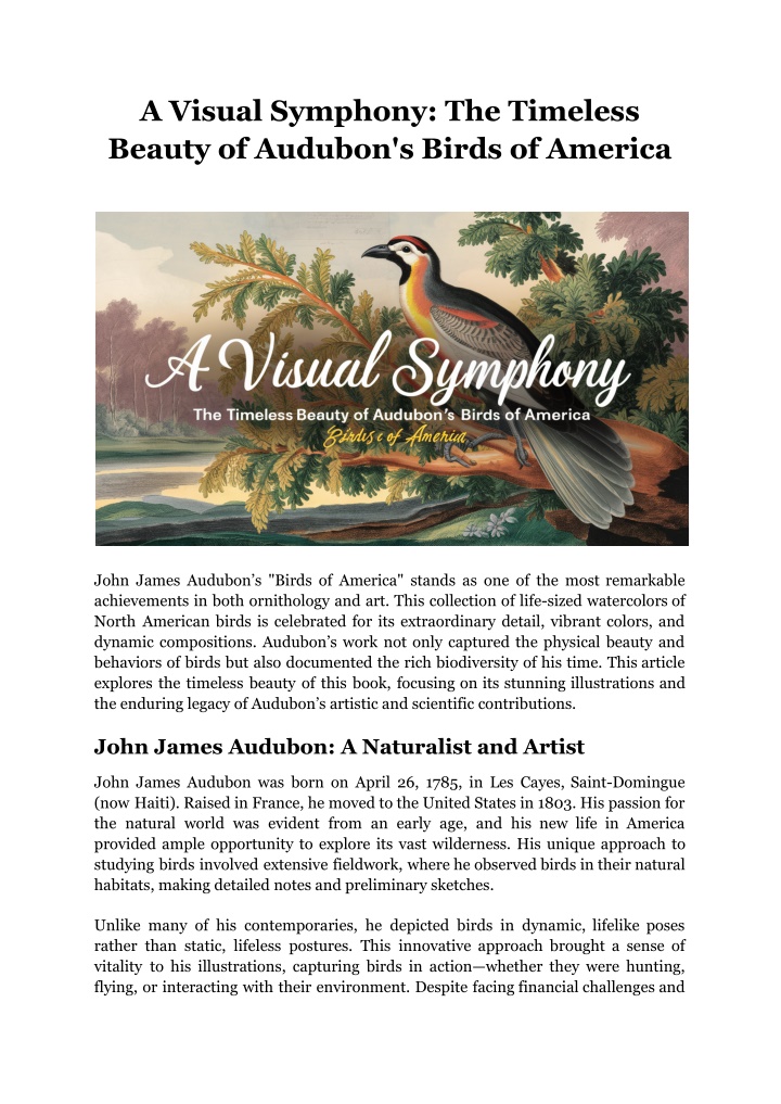 a visual symphony the timeless beauty of audubon