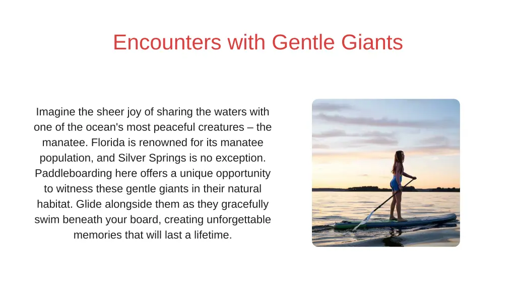 encounters with gentle giants