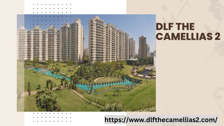 dlf the camellias 2