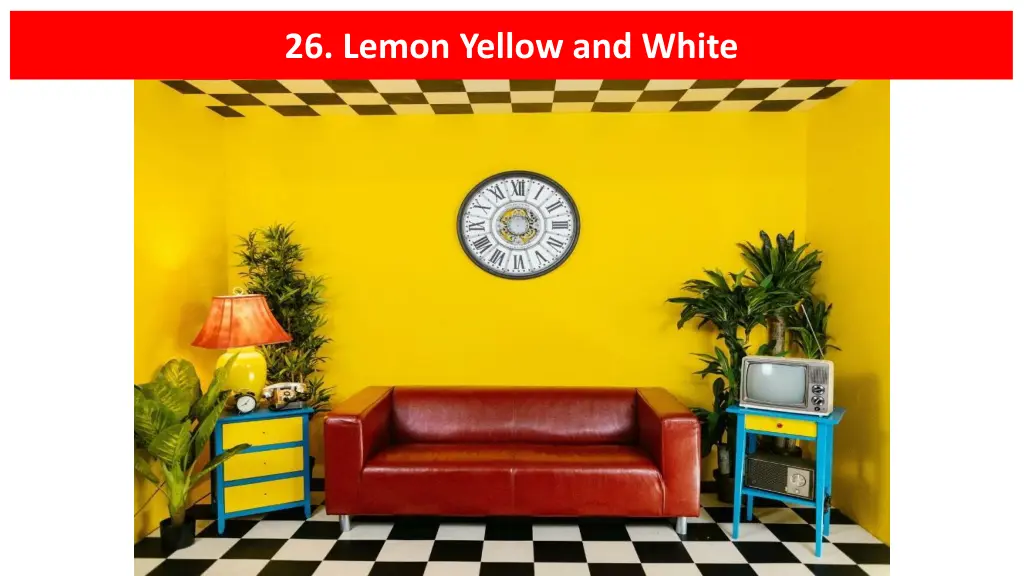 26 lemon yellow and white