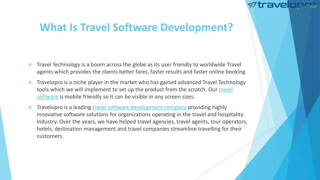 what is travel software development